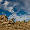 SmugMug > all-time keyword > park > Joshua Tree: November 2009 photo