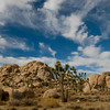 SmugMug > all-time keyword > park > Joshua Tree: November 2009 photo