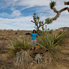 SmugMug > all-time keyword > park > Joshua Tree: November 2009 photo