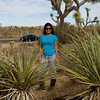 SmugMug > all-time keyword > park > Joshua Tree: November 2009 photo
