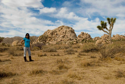 Joshua Tree: November 2009 photo